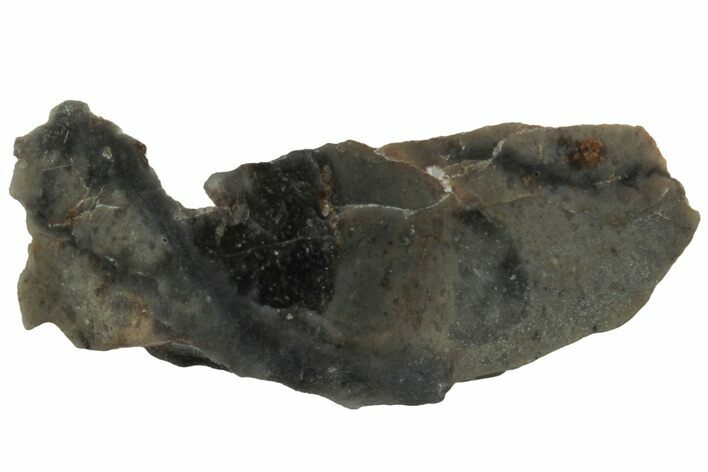 NWA Lunar Meteorite ( g) Section #307655